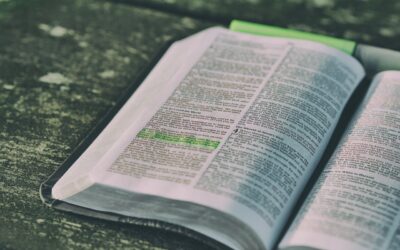 Holding Onto the Promises of God